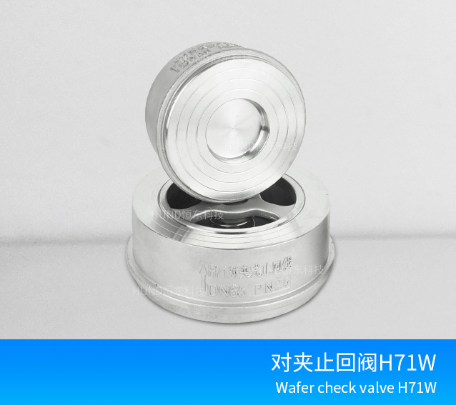 对夹式止回阀 H71